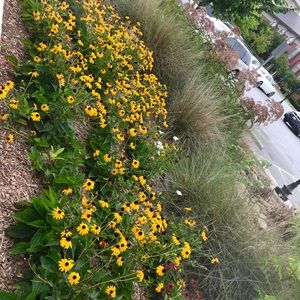 Meet your Posher, Karina